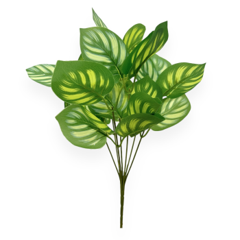 Flori Buchet Calathea Verde